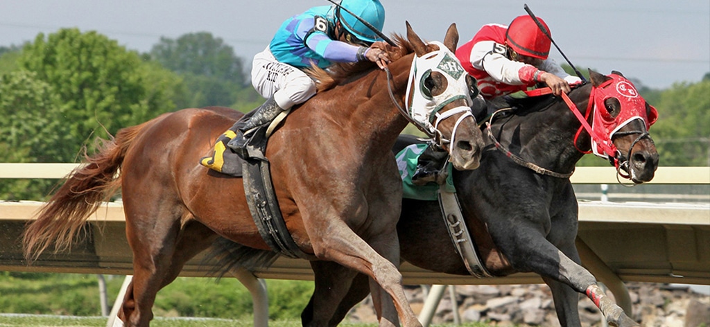 How horse racing can stride ahead