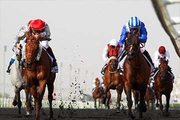 SIS and Sky Bet agree Watch and Bet racing deal