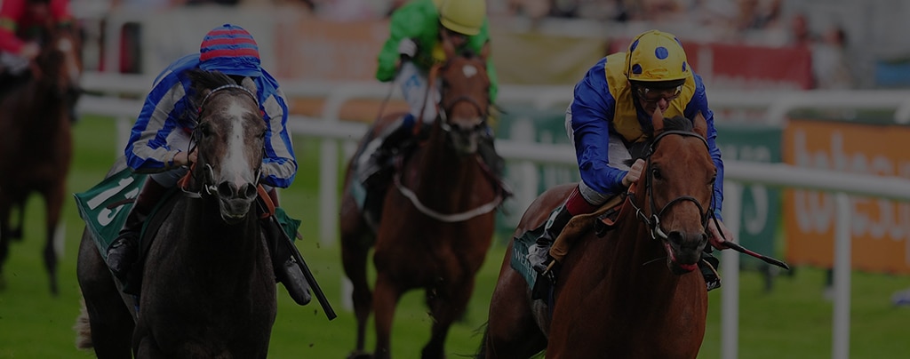 SIS strengthens NetBet partnership to include live horse racing content